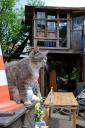 dsc_0024-small.jpg