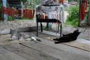 dsc_0101-small.jpg