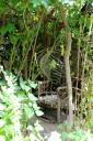 dsc_0146-small.jpg