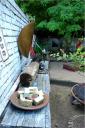 dsc_0178-small.jpg