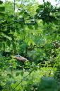 dsc_0204-small.jpg