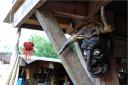 dsc_0249-small.jpg
