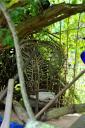 dsc_0254-small.jpg