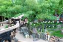 dsc_0272-small.jpg