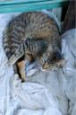 dsc_0285-small.jpg