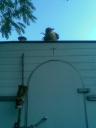 bild389.jpg