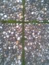 bild272.jpg